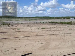 Fazenda / Sítio / Chácara com 3 Quartos à venda, 70000m² no Centro, Ceará Mirim - Foto 20
