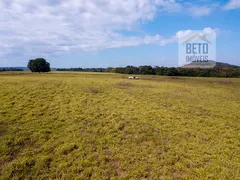 Fazenda / Sítio / Chácara à venda, 188000000m² no Zona Rural, Goiatins - Foto 3