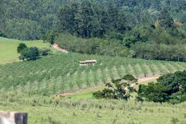 Fazenda / Sítio / Chácara com 2 Quartos à venda, 200m² no Zona Rural, Morungaba - Foto 1