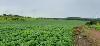 Fazenda / Sítio / Chácara à venda, 115000m² no Paranoá, Brasília - Foto 15