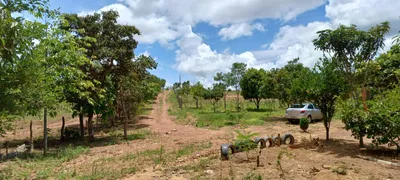 Fazenda / Sítio / Chácara com 4 Quartos à venda, 30000m² no Area Rural do Paranoa, Brasília - Foto 14