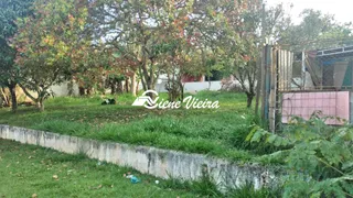 Fazenda / Sítio / Chácara com 3 Quartos à venda, 1100m² no Cachoeira, Santa Isabel - Foto 14