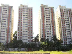 Apartamento com 2 Quartos para alugar, 54m² no Butantã, São Paulo - Foto 24
