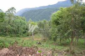 Fazenda / Sítio / Chácara à venda, 38000m² no Varzea Grande, Gramado - Foto 7