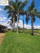 Fazenda / Sítio / Chácara com 2 Quartos à venda, 190m² no Faxina, São José dos Pinhais - Foto 18