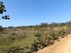 Terreno / Lote / Condomínio à venda, 20000m² no Zona Rural, Funilândia - Foto 11