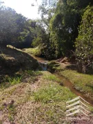 Fazenda / Sítio / Chácara com 3 Quartos à venda, 350m² no Nossa Senhora do Perpétuo Socorro, Pindamonhangaba - Foto 2