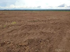 Fazenda / Sítio / Chácara com 30 Quartos à venda, 10260000m² no Zona Rural, São Valério da Natividade - Foto 7