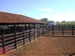 Fazenda / Sítio / Chácara com 4 Quartos à venda, 2704m² no Centro, Santa Vitória - Foto 4