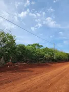 Terreno / Lote / Condomínio à venda, 10619m² no Centro, Aragoiânia - Foto 3