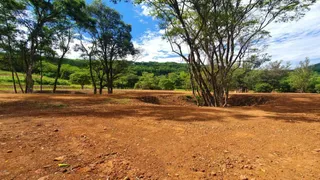 Fazenda / Sítio / Chácara à venda, 5800m² no , Gramado - Foto 5