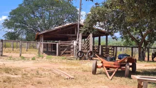 Fazenda / Sítio / Chácara com 2 Quartos à venda, 54250000m² no Zona Rural, Buritizeiro - Foto 5