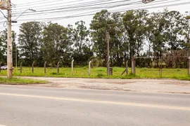 Terreno / Lote / Condomínio para alugar, 18000m² no Chapada, Araucária - Foto 3