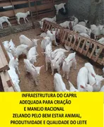 Fazenda / Sítio / Chácara com 2 Quartos à venda, 90000m² no Area Rural do Paranoa, Brasília - Foto 79