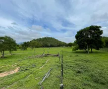 Fazenda / Sítio / Chácara com 3 Quartos à venda no Fronteira, Santo Antônio do Leverger - Foto 7