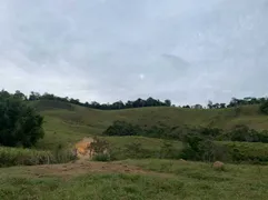 Fazenda / Sítio / Chácara com 1 Quarto à venda, 740000m² no Dores do Paraibuna, Santos Dumont - Foto 17