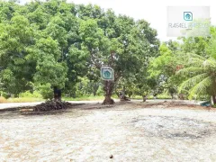 Fazenda / Sítio / Chácara à venda, 400m² no Centro, Pindoretama - Foto 2