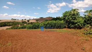 Fazenda / Sítio / Chácara com 3 Quartos à venda, 72600m² no Lerroville, Londrina - Foto 1