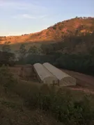 Fazenda / Sítio / Chácara à venda, 380000m² no Area Rural de Amparo, Amparo - Foto 4