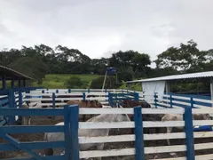 Fazenda / Sítio / Chácara com 9 Quartos à venda, 800m² no Zona Rural, Gameleira de Goiás - Foto 52