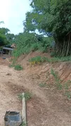 Fazenda / Sítio / Chácara com 2 Quartos à venda, 3278m² no Penhinha, Arujá - Foto 3