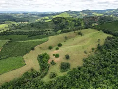 Fazenda / Sítio / Chácara com 4 Quartos à venda, 1350000m² no Zona Rural, Botelhos - Foto 20