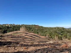 Terreno / Lote / Condomínio à venda, 70000m² no Varzea Grande, Gramado - Foto 14