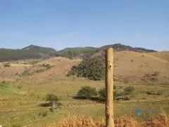 Fazenda / Sítio / Chácara à venda, 1390000m² no Taruacu, São João Nepomuceno - Foto 23