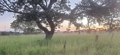 Fazenda / Sítio / Chácara com 3 Quartos à venda, 5200000m² no Zona Rural, Buritizeiro - Foto 2