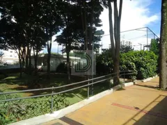 Apartamento com 3 Quartos para alugar, 55m² no Butantã, São Paulo - Foto 5