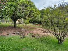 Fazenda / Sítio / Chácara com 4 Quartos à venda, 327m² no Parque Valinhos, Valinhos - Foto 61