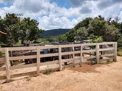 Fazenda / Sítio / Chácara com 2 Quartos à venda, 21843m² no Joaquim Egídio, Campinas - Foto 35