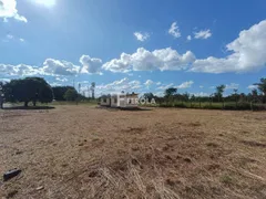 Terreno / Lote / Condomínio à venda, 2500m² no Park Way , Brasília - Foto 8