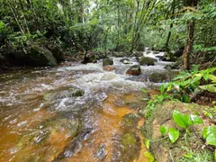 Fazenda / Sítio / Chácara com 2 Quartos à venda, 6493m² no Rio Sagrado, Morretes - Foto 3