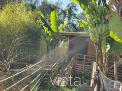 Fazenda / Sítio / Chácara com 2 Quartos à venda, 250m² no Casa Vermelha, Ribeirão Pires - Foto 9