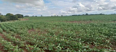 Fazenda / Sítio / Chácara com 2 Quartos à venda, 420000m² no Paranoá, Brasília - Foto 17