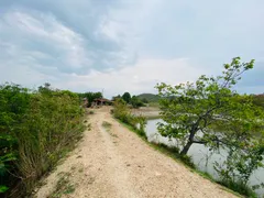 Fazenda / Sítio / Chácara com 4 Quartos à venda, 144000m² no Zona Rural, Faina - Foto 30
