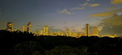 Apartamento com 4 Quartos à venda, 230m² no Setor Oeste, Goiânia - Foto 60