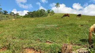 Fazenda / Sítio / Chácara com 2 Quartos à venda, 185m² no , Lavrinhas - Foto 3