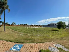 Terreno / Lote / Condomínio à venda, 960m² no Granja Marileusa , Uberlândia - Foto 4