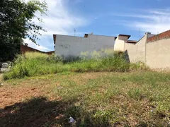 Terreno / Lote / Condomínio à venda, 220m² no Parque das Amoras, São José do Rio Preto - Foto 1