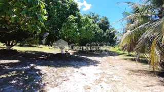 Fazenda / Sítio / Chácara com 3 Quartos à venda, 360000m² no Genipabú, Caucaia - Foto 21