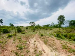 Fazenda / Sítio / Chácara com 4 Quartos à venda, 144000m² no Zona Rural, Faina - Foto 12