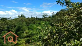 Fazenda / Sítio / Chácara com 2 Quartos à venda, 54000m² no Zona Rural, Juquiá - Foto 10