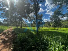 Fazenda / Sítio / Chácara com 3 Quartos à venda, 300m² no Zona Rural, São Sebastião do Oeste - Foto 7