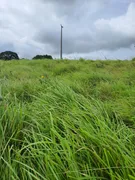 Fazenda / Sítio / Chácara com 3 Quartos à venda, 21600m² no Zona Rural, Monte Alegre - Foto 17