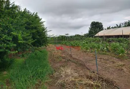 Fazenda / Sítio / Chácara com 5 Quartos à venda, 300m² no Parque da Grama, Indaiatuba - Foto 43