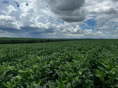 Fazenda / Sítio / Chácara à venda no Zona Rural, Itiquira - Foto 3