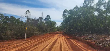 Fazenda / Sítio / Chácara à venda, 20000m² no Zona Rural, Baldim - Foto 2