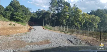 Terreno / Lote Comercial à venda, 30000m² no Garibaldina, Garibaldi - Foto 1